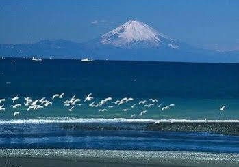 Tateyama Seaside Hotel Exterior photo